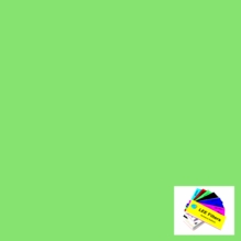 Lee 244 Full Plus Green Lighting Gel Filter Roll 48"x25ft