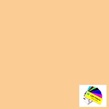 Lee 285 3/4 CTO Lighting Filter Gel Sheet