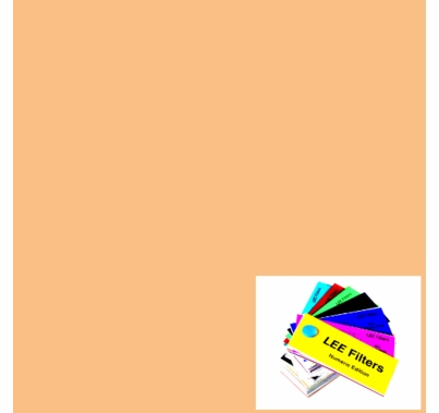 Lee 441 Full CTS Straw Lighting Gel Filter Sheet 21"x24"