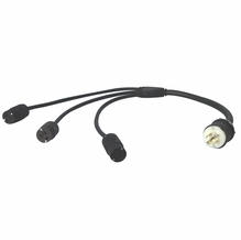 Lex 20 Amp Three Phase Three Fer L21-20P to (3) 5-20C Edison