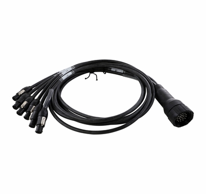 Lex EverGrip 19-Pin Male to (6) powerCon True1 Female Breakout