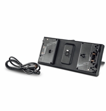 LitePanels Gemini 2x1 Dual Battery Bracket Gold Mount with XLR Cable