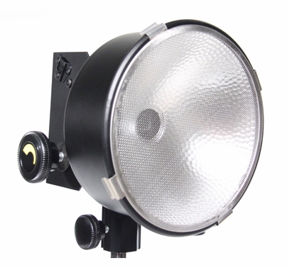 Lowel DP Light  D2-10