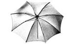 Lowel Umbrellas