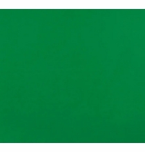 Matthews RoadFlags Green Screen Slip On 4x4 Fabric 169202