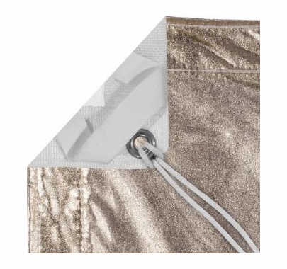 Modern Studio 20'x20' Lame with Bag