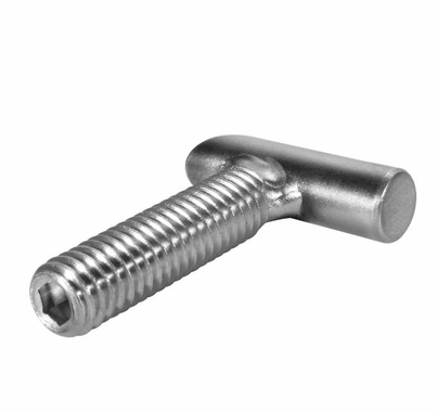 Modern Studio Round Body Starter|Short