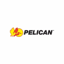Pelican Cases