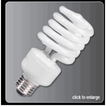 Photography Light Bulbs