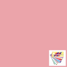 Rosco 153 Pale Salmon Lighting Gel Sheet 21"x24"