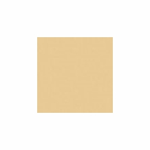 Rosco 3408 RoscoSun 1/2 CTO  RoscoSleeve  48" T12 Fluorescent