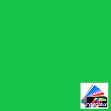 Rosco 389 Chroma Key Green RoscoSleeve 48" T8  Lamp Cover