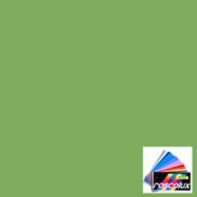 Rosco 4430 Calcolor 30 Green Lighting Gel Sheet 20"x24"