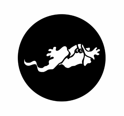 Rosco 77553 Ghost 3 Standard Steel Gobo Lighting Pattern