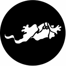 Rosco 77553 Ghost 3 Standard Steel Gobo Lighting Pattern