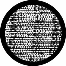 Rosco 78653 Iguana Breakup Steel Gobo Pattern