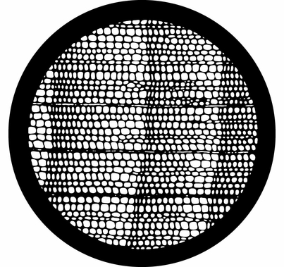 Rosco 78653 Iguana Breakup Steel Gobo Pattern