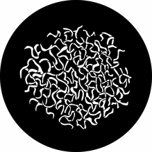 Rosco 78704 Snail Trails Steel Gobo Pattern