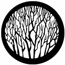 Rosco Bare Branches Steel Gobo 77735