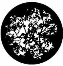 Rosco Blossoms 77774 Standard Steel Gobo