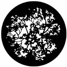 Rosco Blossoms 77774 Standard Steel Gobo