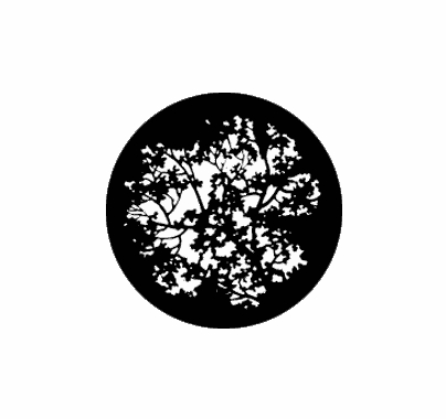 Rosco Blossoms 77774 Standard Steel Gobo