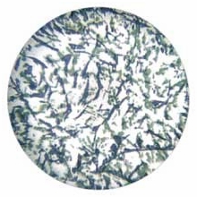 Rosco Blue Green Featherlight Colorizer Glass Gobo Pattern B Size