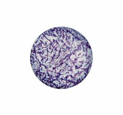 Rosco Blue Lavender Featherlight Colorizer Glass Gobo Pattern B Size