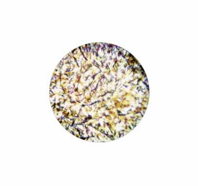 Rosco Blue Lavender Yellow Featherlight Colorizer Glass Gobo Pattern B Size