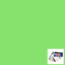 Rosco Cinegel 3304 Tough Plus Green Window Green Gel Filter Sheet