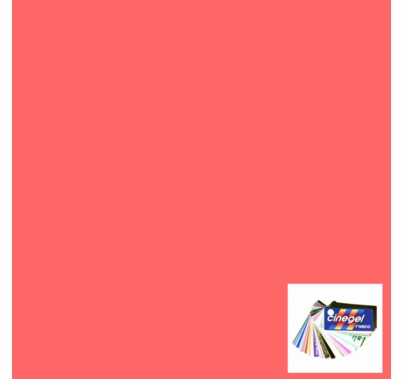 Rosco Cinegel 3310 Fluorofilter Gel Filter Sheet