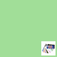 Rosco Cinegel 3315 Tough 1/2 Plus Green Gel Filter Sheet