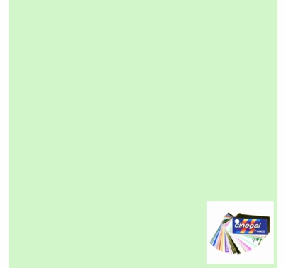 Rosco Cinegel 3317 1/8 Tough Plus Green Gel Filter Sheet