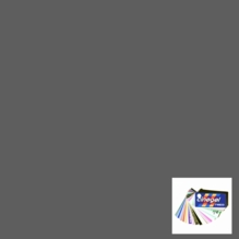 Rosco Cinegel 3403 ND.6 Neutral Density Lighting Gel Filter Sheet