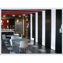 Rosco Custom LitePad LED Lighting for Architects and Designers