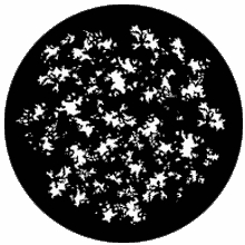 Rosco Dapple Small 77405 Standard Steel Gobo