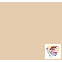 Rosco E Color 184 Cosmetic Peach Gel Filter Sheet 21"x24"