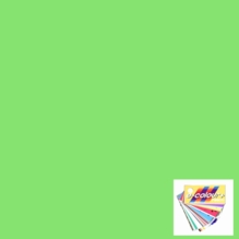 Rosco E Color 244 Full Plus Green Gel Filter Sheet