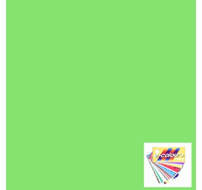 Rosco E Color 244 Full Plus Green Gel Filter Sheet