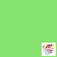 Rosco E Color 244 Full Plus Green Lighting Gel Filter Sheet 10 x 12 Inch