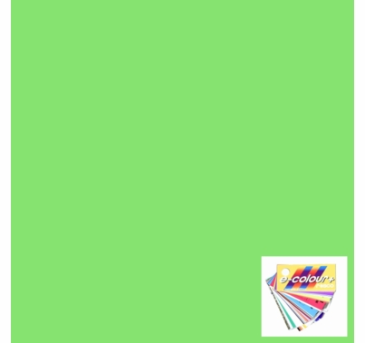 Rosco E Color 244 Full Plus Green Lighting Gel Filter Sheet 10 x 12 Inch