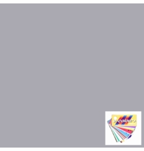 Rosco E Color 298 ND.15 Neutral Density 1/2 Stop Gel Filter Sheet