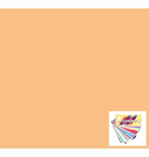 Rosco E Color Full Straw 441 C TS  Gel Sheet