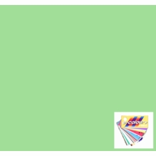 Rosco E Color Half Plus Green 1/2 245 Gel Sheet