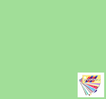 Rosco E Color Half Plus Green 1/2 245 Gel Sheet