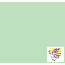 Rosco E Color Quarter Plus Green 1/4 246 Gel Sheet