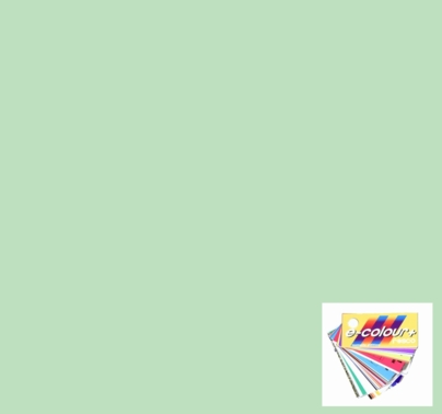 Rosco E Color Quarter Plus Green 1/4 246 Gel Sheet