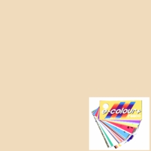 Rosco E Color Quarter Straw 1/4   443 CTS  Gel Sheet