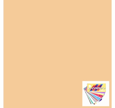 Rosco E Colour 009 Pale Amber Gold Lighting Gel Filter Sheet