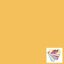 Rosco E Colour 013 Straw Tint Lighting Gel Filter Sheet